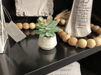 Mini Plants (Artificial)
