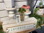 Mini Plants (Artificial)
