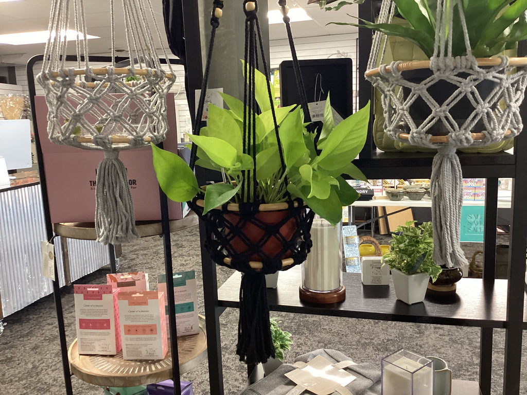 Hanging Macrame Planter