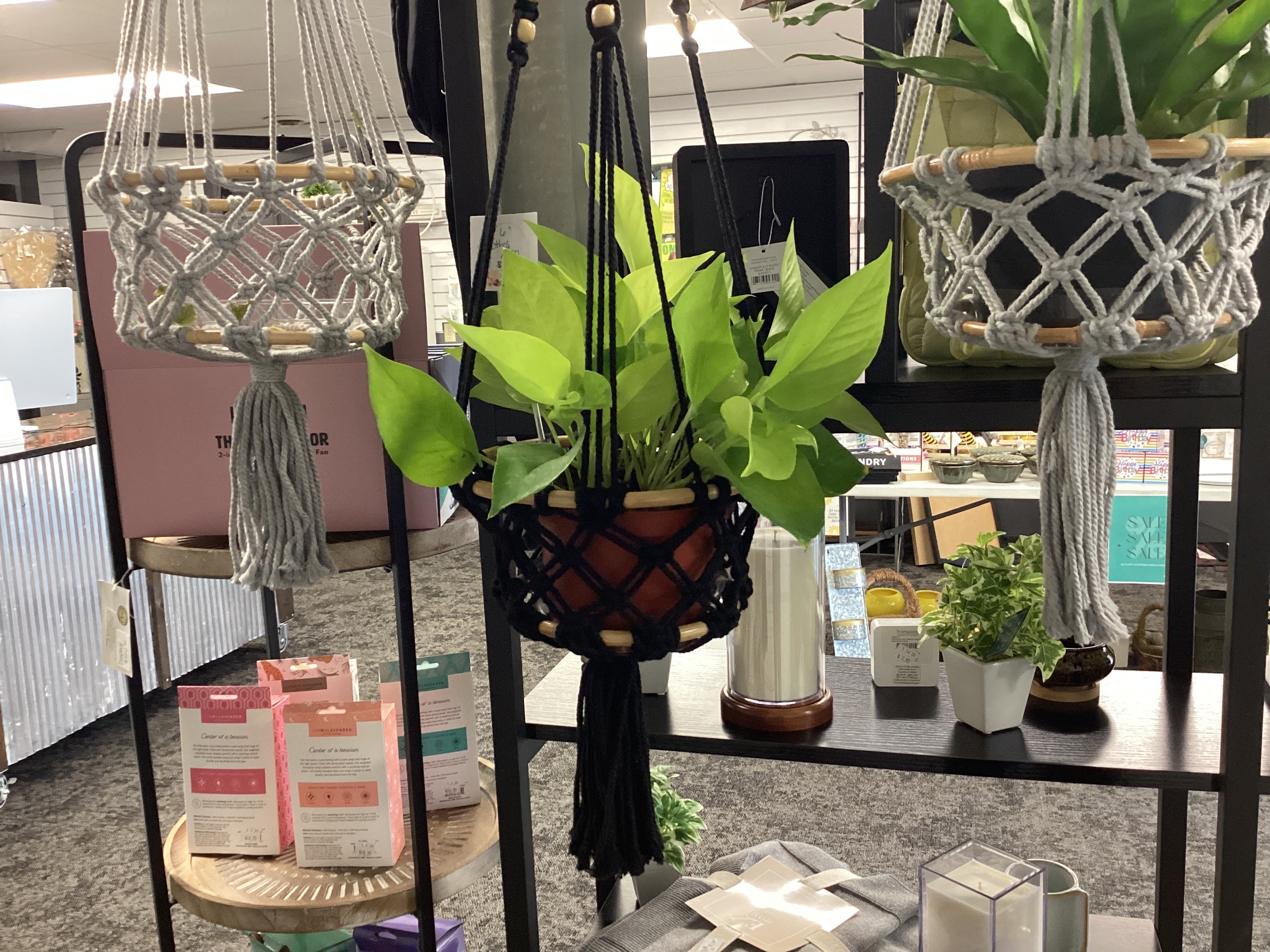 Hanging Macrame Planter