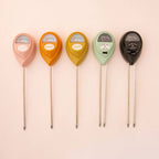 Moisture Meter