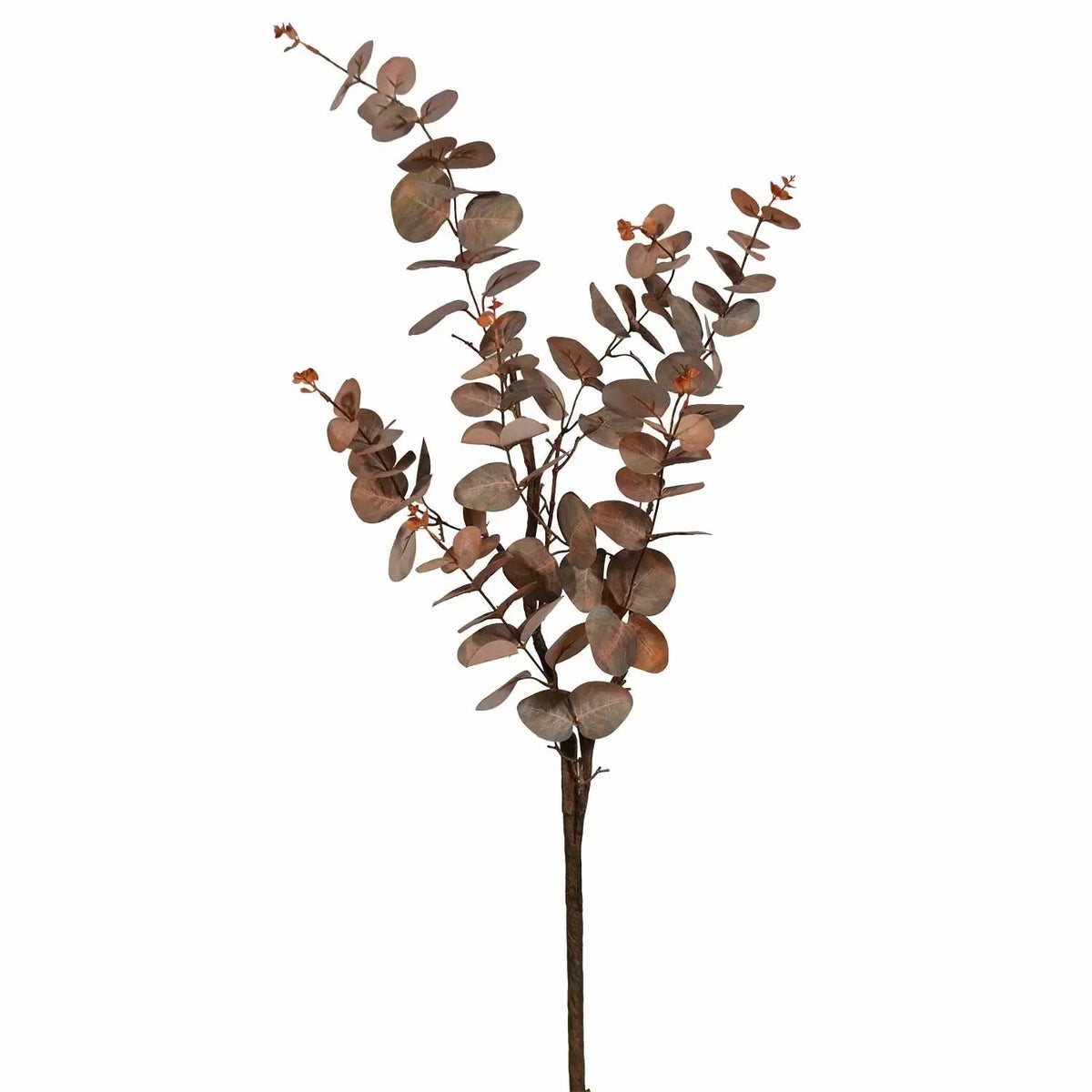 44" Eucalyptus Leaf Branch - Brown