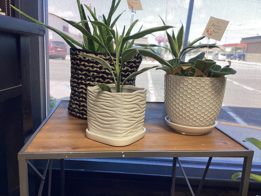White Square Ceramic Planter