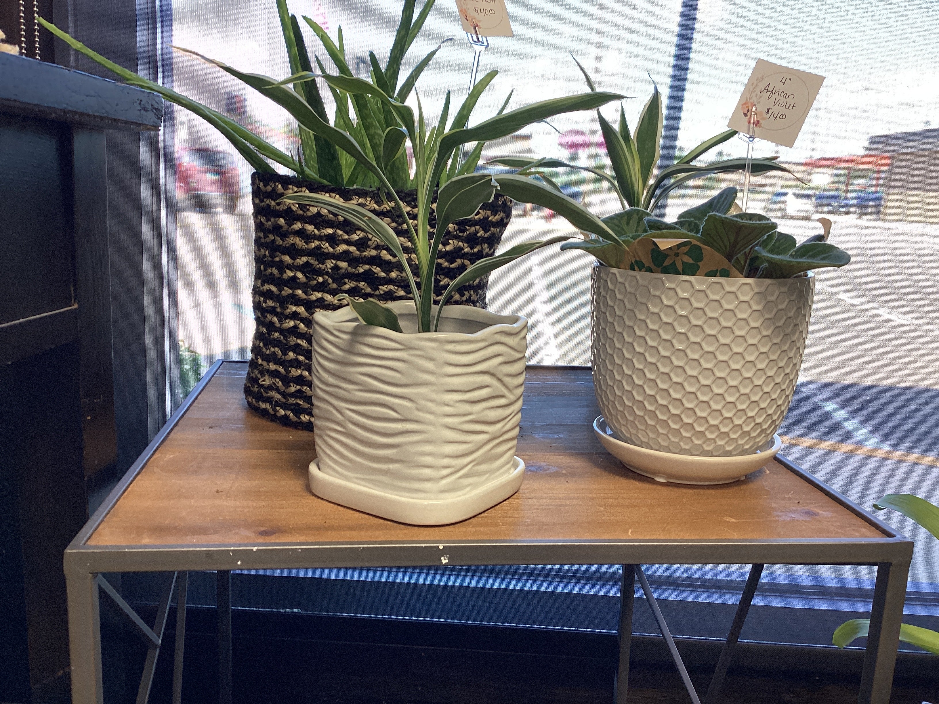 White Square Ceramic Planter