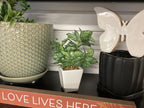 7.5” Artificial Plants