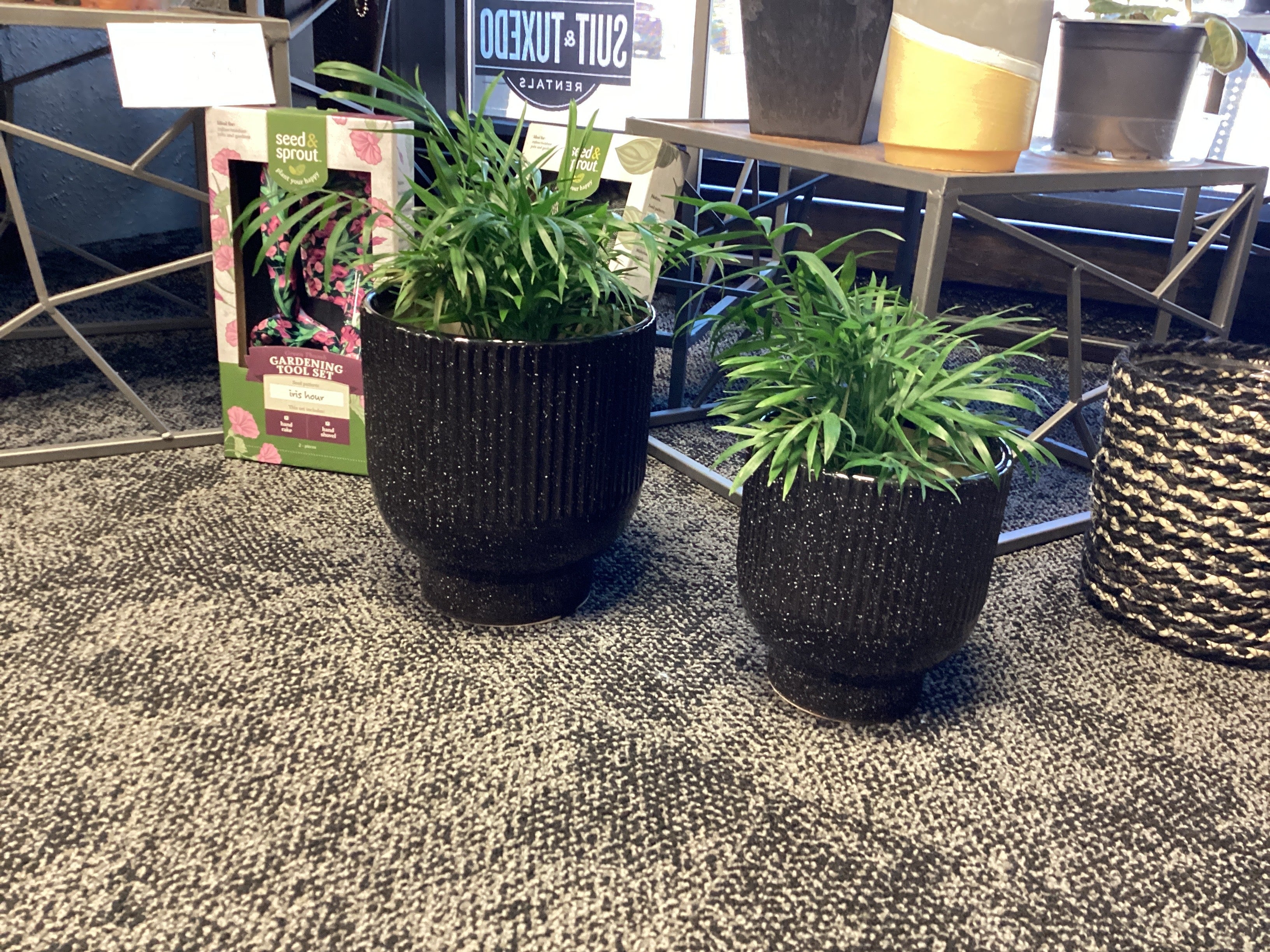 Black Speckled Ceramic Planter