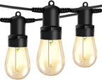 Edison Light Strands