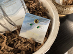 Narelle Earrings
