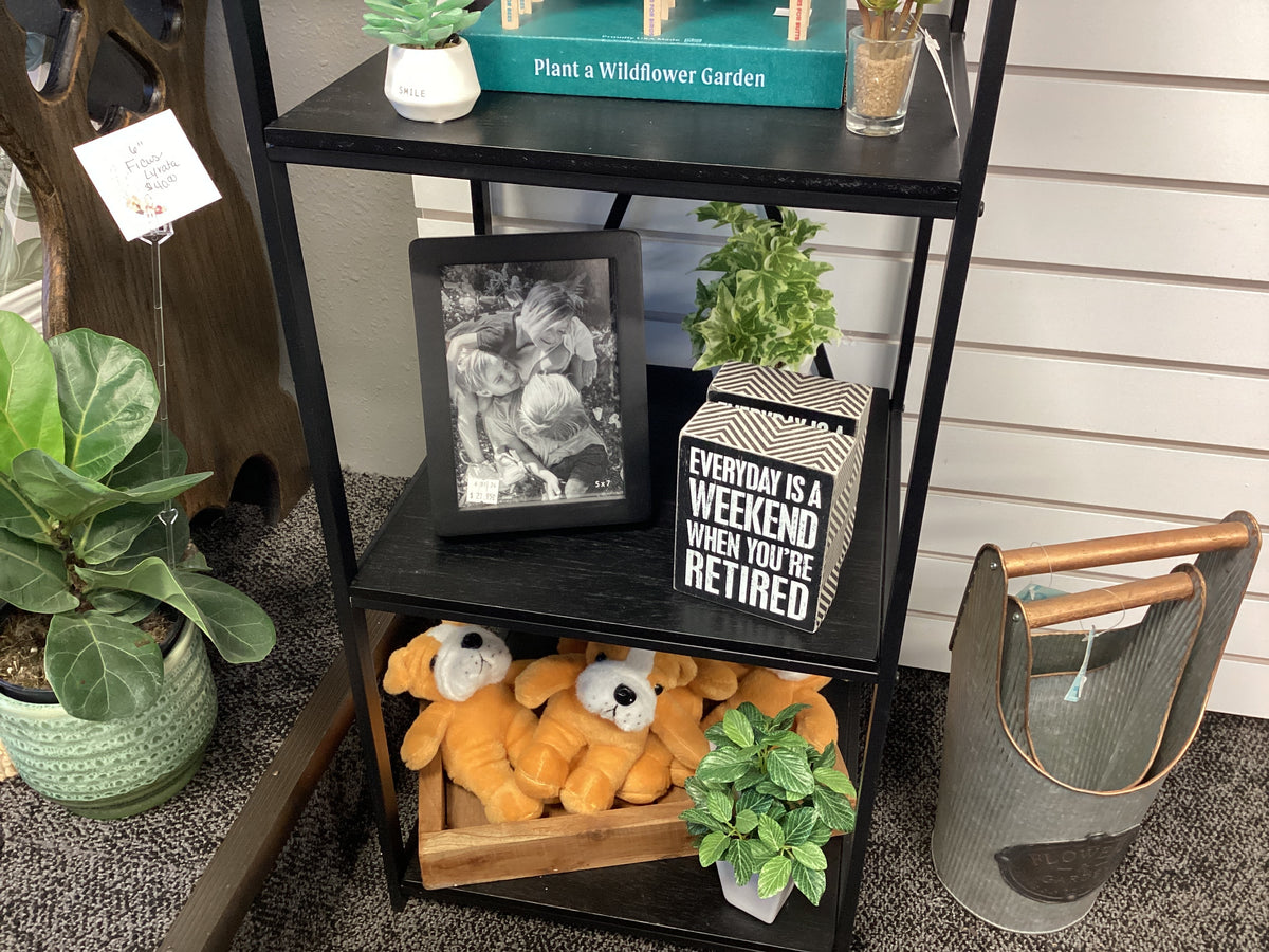 Picture Frames