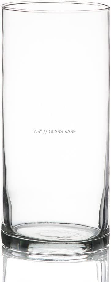 Clear Glass Vases