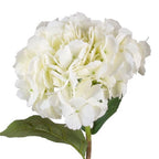 23" Hydrangea