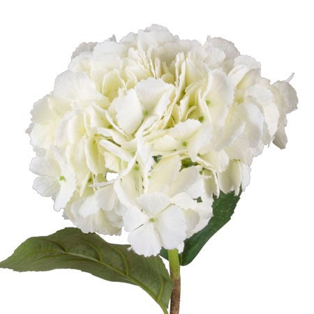 23" Hydrangea