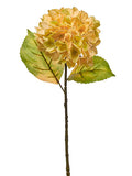 23" Hydrangea