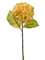 23" Hydrangea