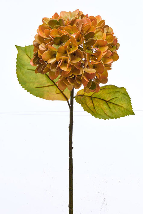 23" Hydrangea