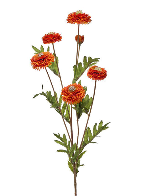 27" Aster Button Spray