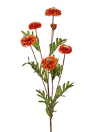 27" Aster Button Spray