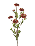 27" Aster Button Spray