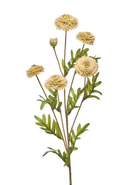 27" Aster Button Spray