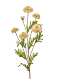 27" Aster Button Spray