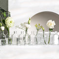 Glass Bud Vases