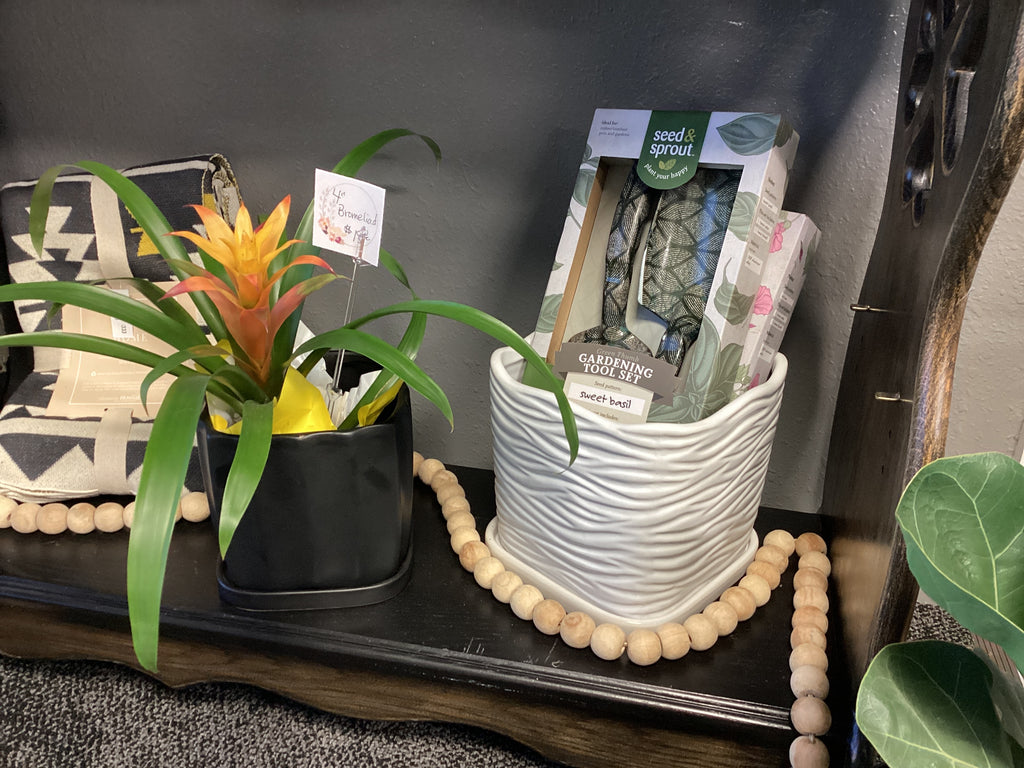 White Square Ceramic Planter