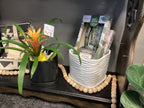 White Square Ceramic Planter