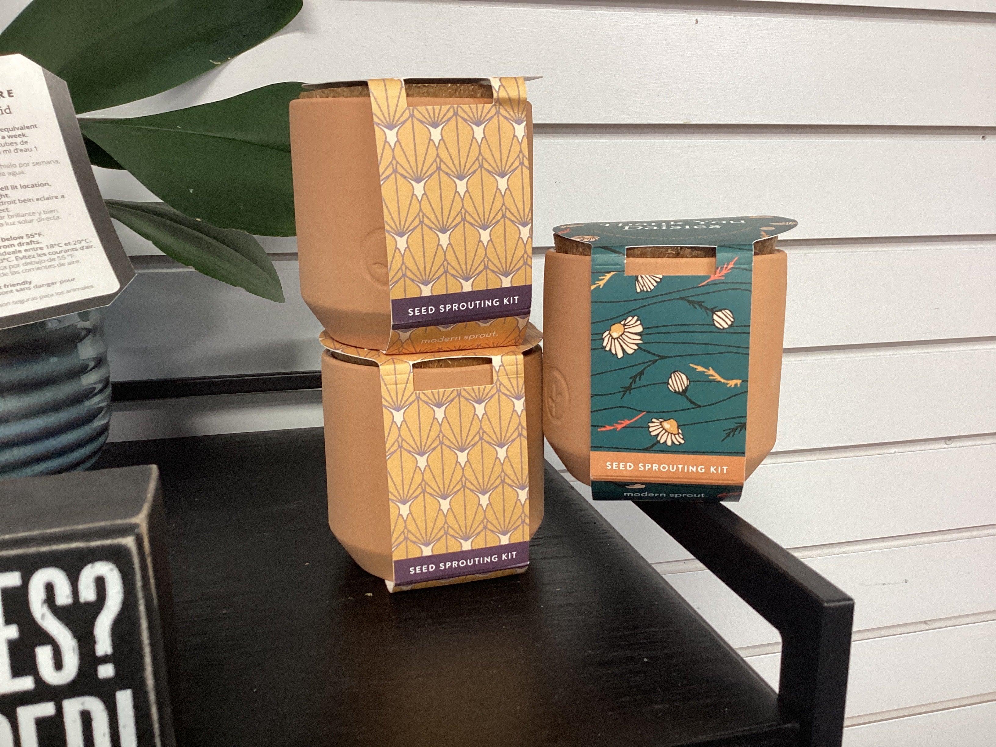 Seed Sprouting Kit