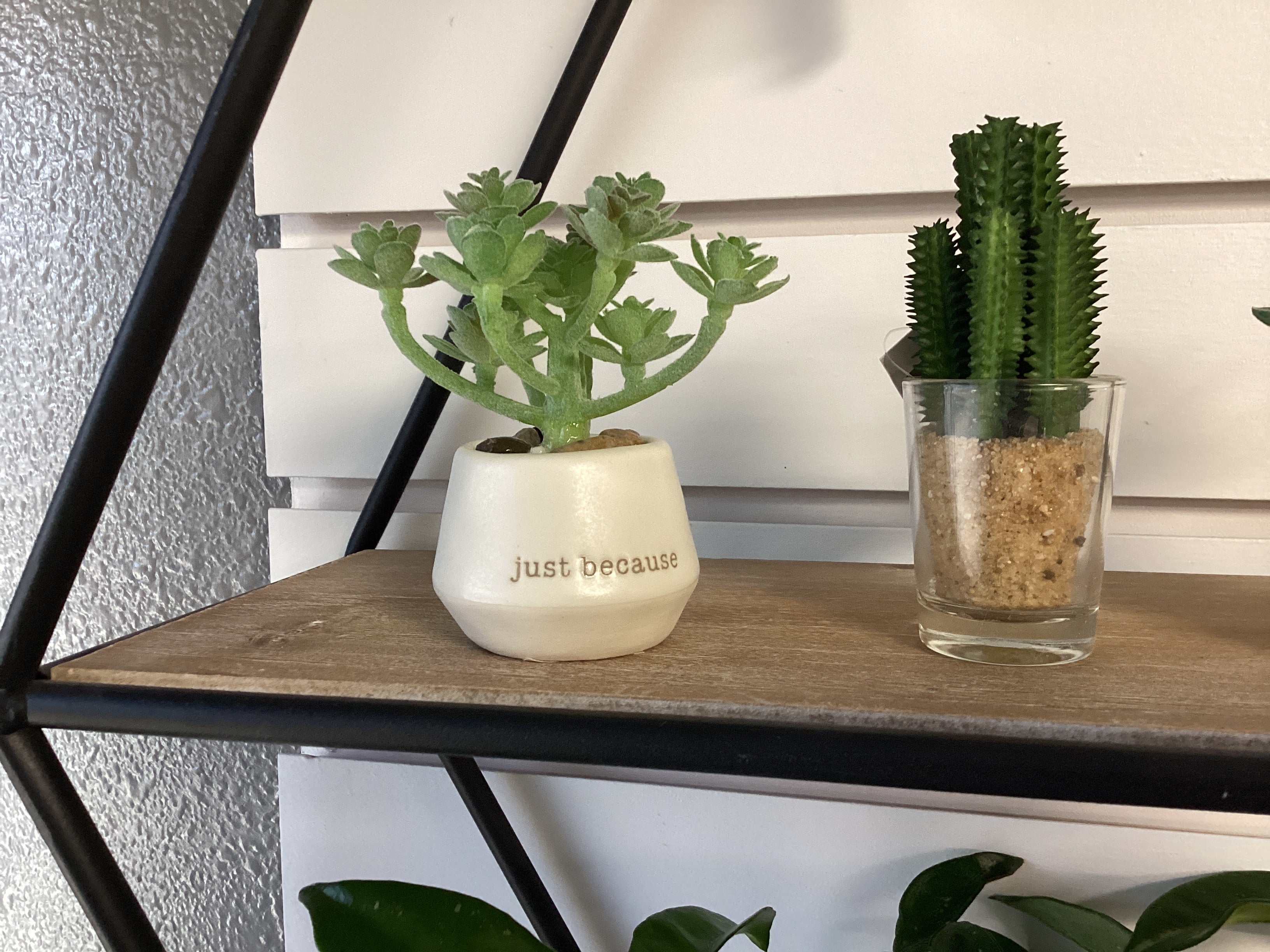 Mini Plants (Artificial)