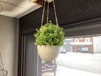 Hanging Ceramic Planter