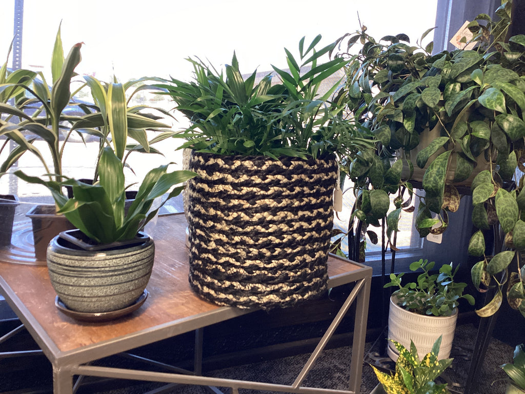Black/Cream Basket Planter