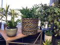 Black/Cream Basket Planter