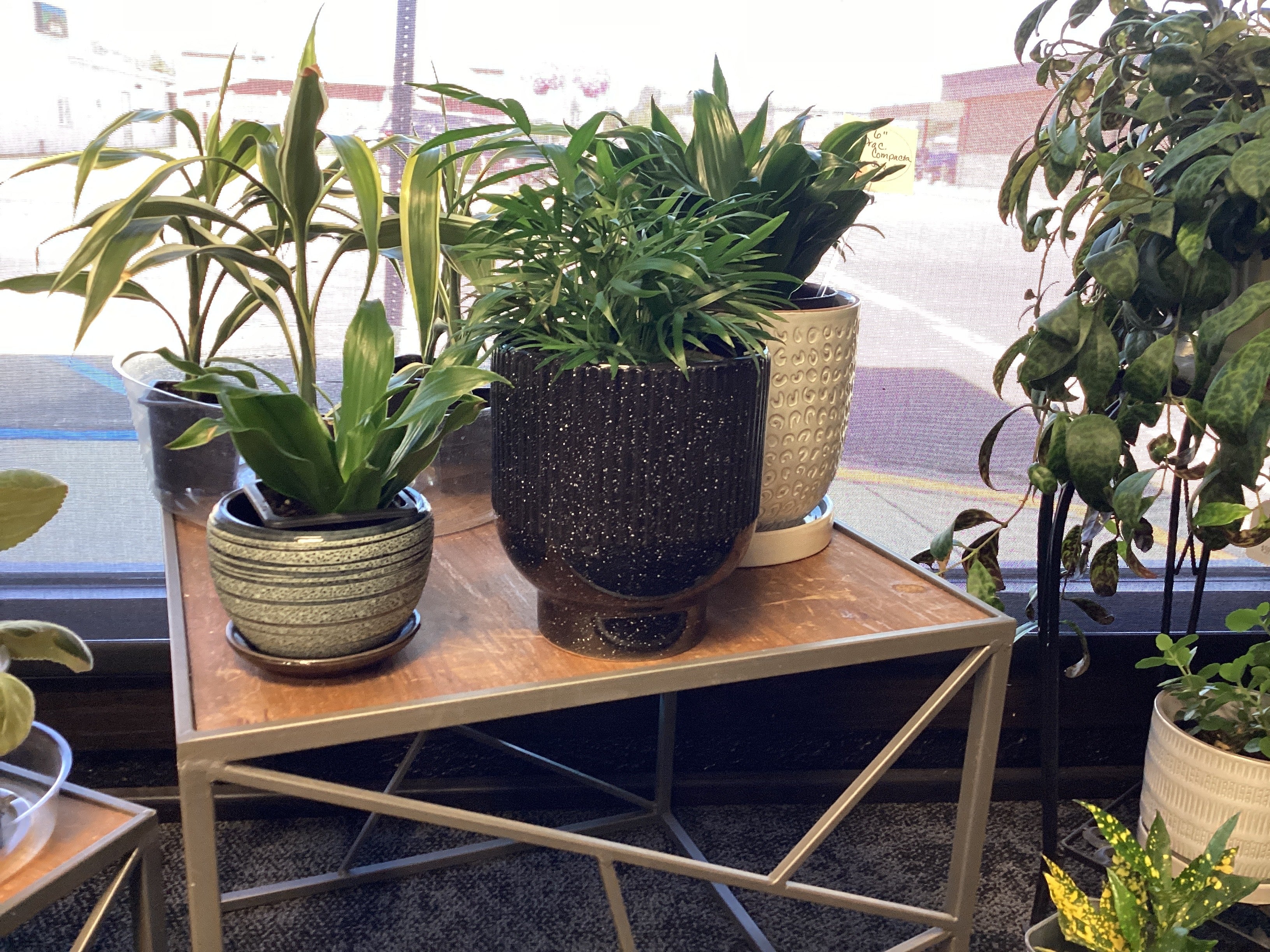 Black Speckled Ceramic Planter