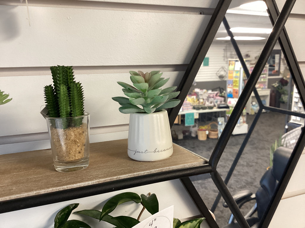 Mini Plants (Artificial)