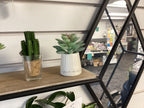 Mini Plants (Artificial)