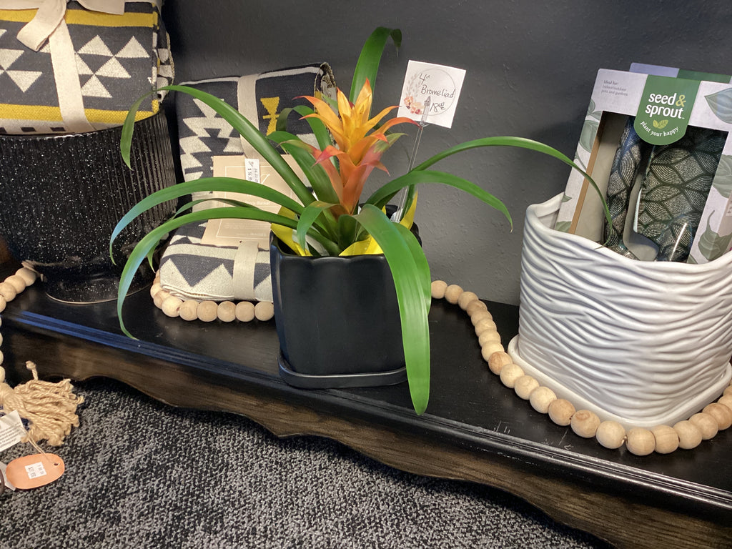 Black Square Ceramic Planter