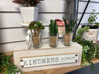 Mini Plants (Artificial)