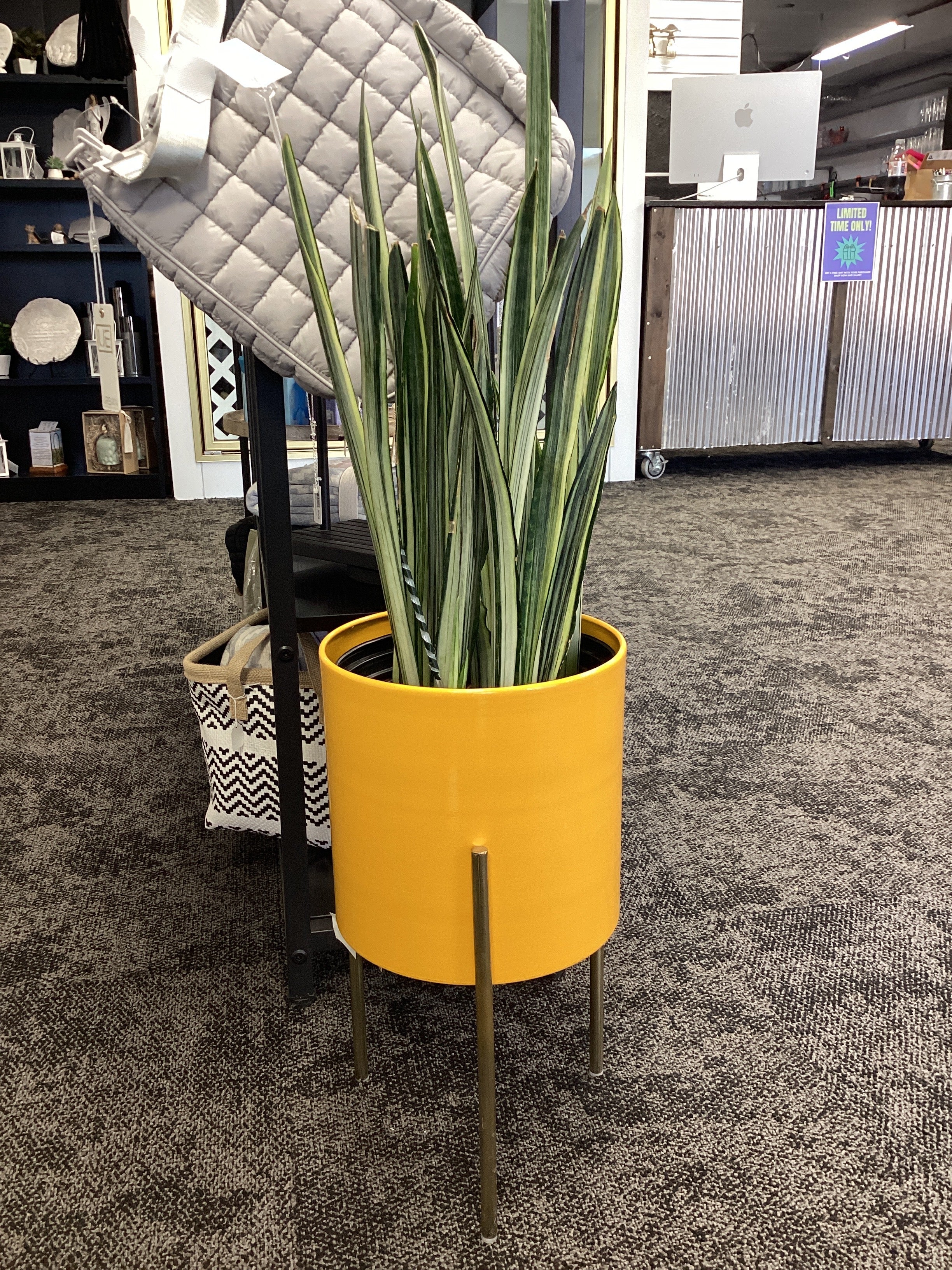 Large Yellow Stand Planter