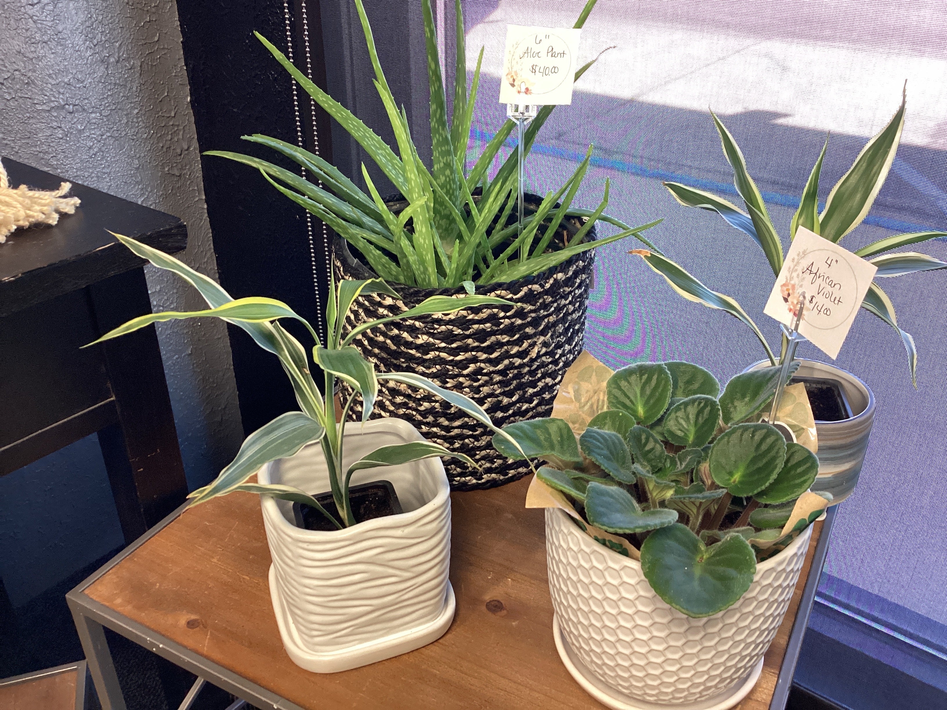 White Square Ceramic Planter
