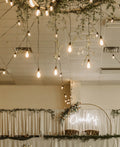 Edison Light Strands