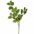 45.5" Salal Leaf Spray