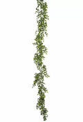 6' Ruscus Garland