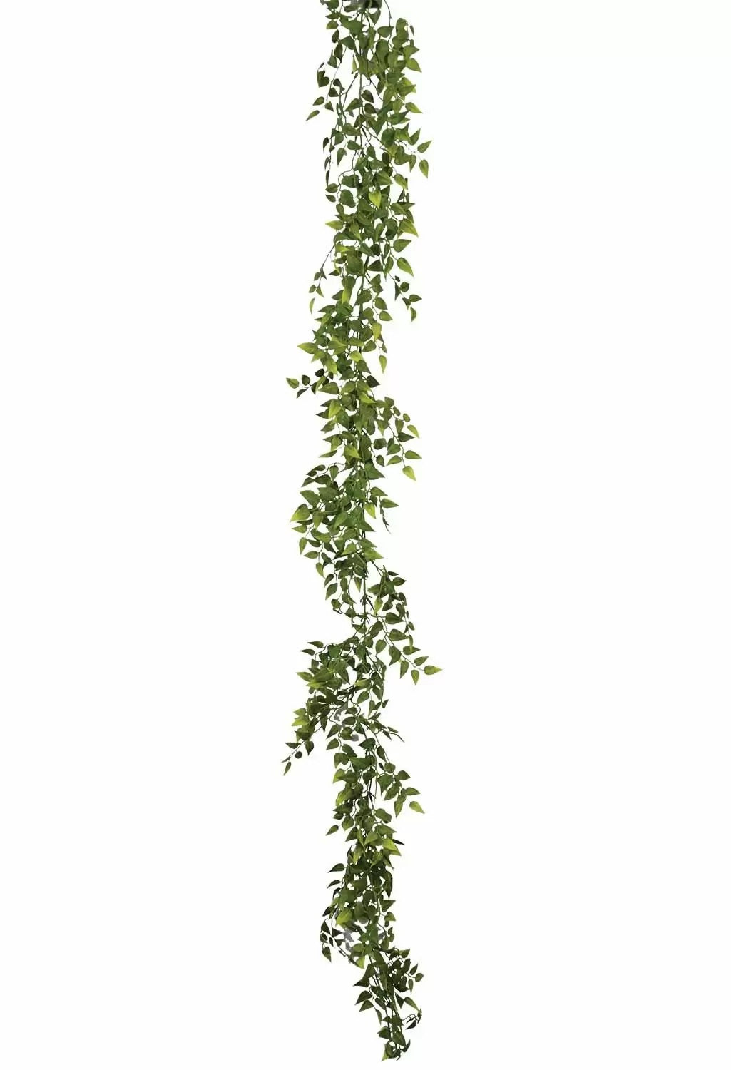 6' Ruscus Garland