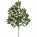 28" Ruscus Spray - Green